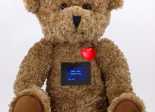 Teddy Bear MessagePetz