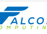 Xilinx Falcon Computing