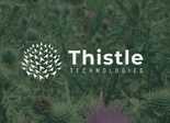 thistle