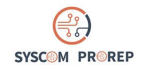Syscom Prorep réorganise son capital avec Initiative & finance